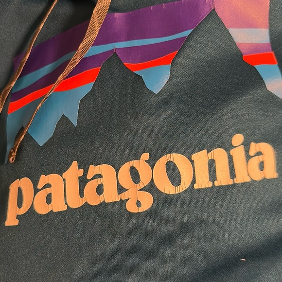 Patagonia Men's teal blue Hoodie Sweater - Picture 3 of 5